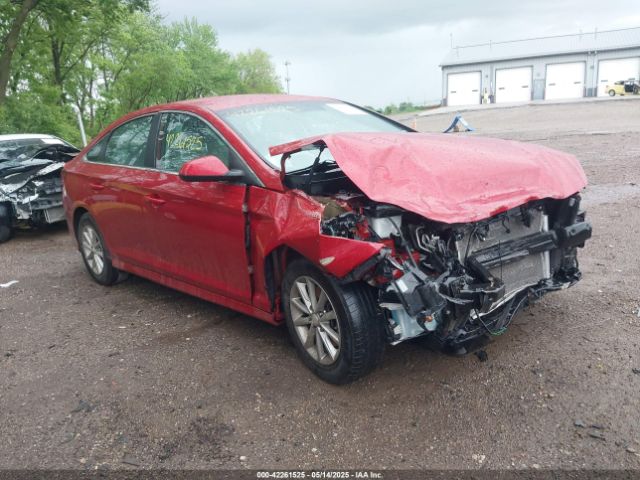 2019 HYUNDAI SONATA 5NPE24AF5KH752177