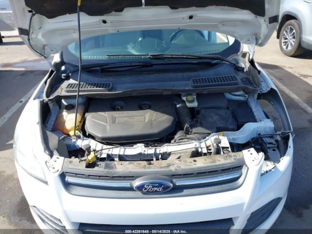 1FMTU0G90FUA81004 Ford Escape