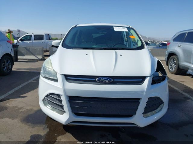 1FMTU0G90FUA81004 Ford Escape