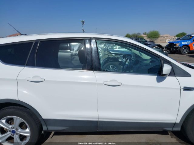 1FMTU0G90FUA81004 Ford Escape