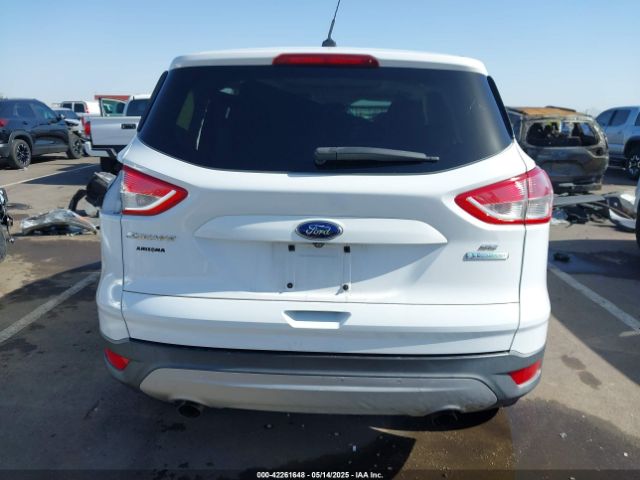 1FMTU0G90FUA81004 Ford Escape