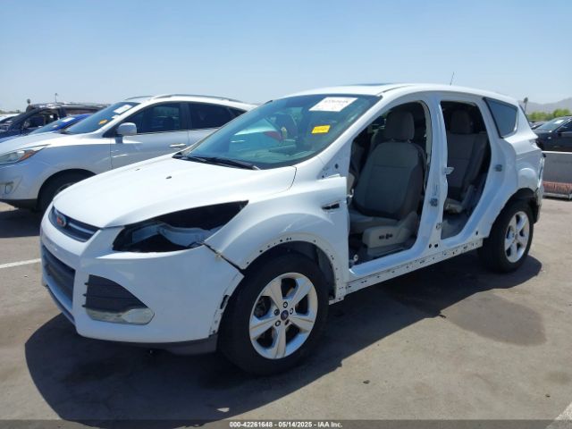 1FMTU0G90FUA81004 Ford Escape
