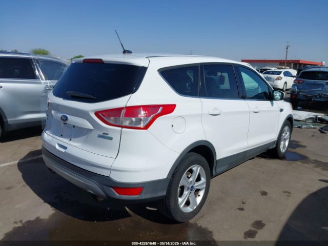 1FMTU0G90FUA81004 Ford Escape