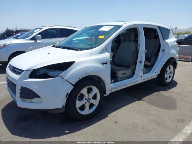 1FMTU0G90FUA81004 Ford Escape