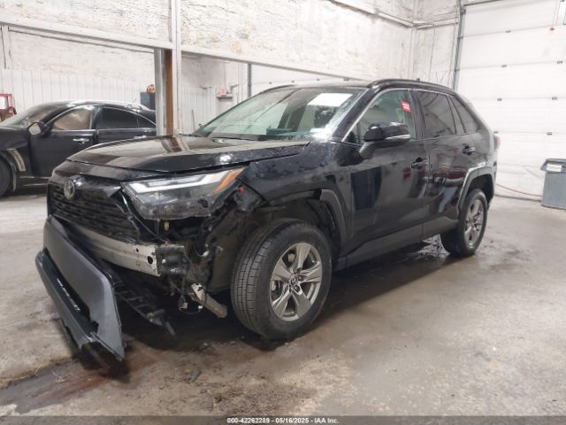 2T3P1RFV2RW445206 Toyota Rav4 Xle