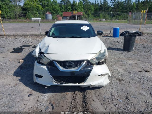 1N4AA6AP8GC429756 Nissan Maxima