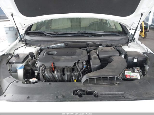 5NPE24AFXJH627965 Hyundai SONATA SE