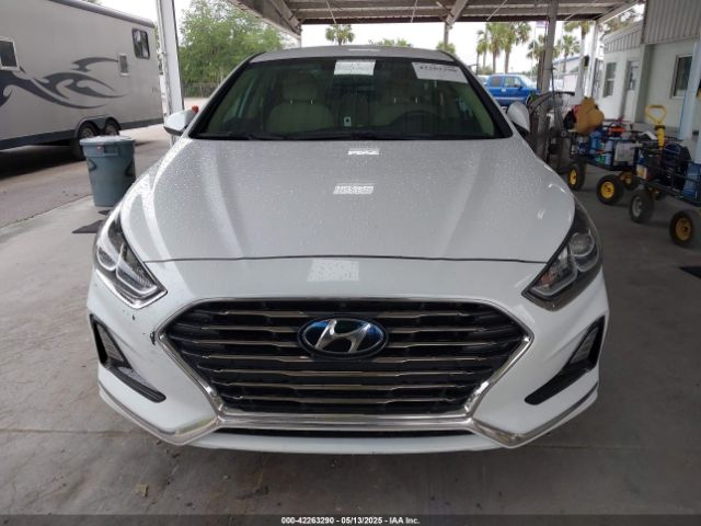 5NPE24AFXJH627965 Hyundai SONATA SE