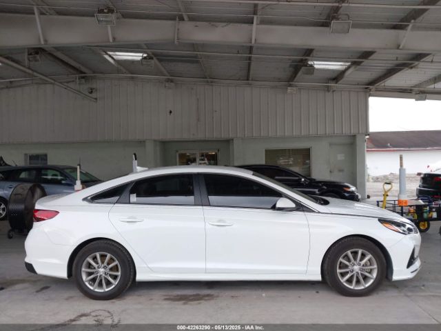 5NPE24AFXJH627965 Hyundai SONATA SE