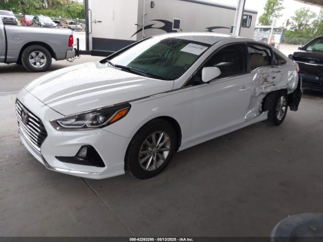 5NPE24AFXJH627965 Hyundai SONATA SE