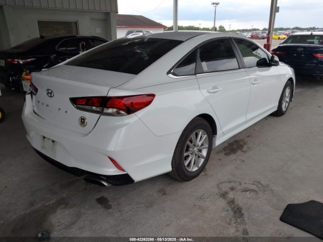 5NPE24AFXJH627965 Hyundai SONATA SE