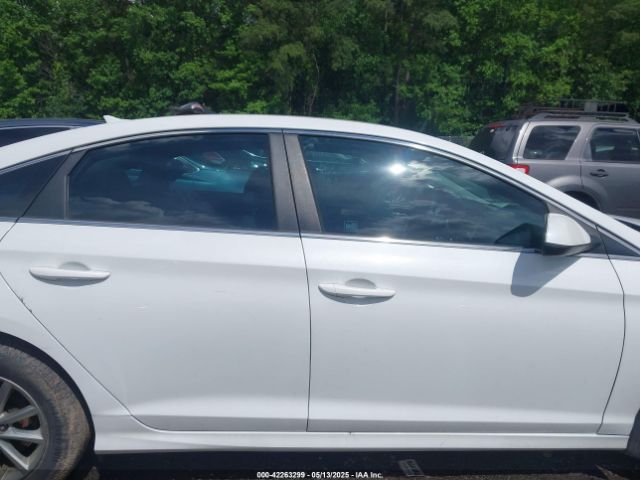 5NPE24AF3KH803241 Hyundai SONATA SE