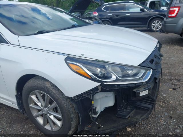 5NPE24AF3KH803241 Hyundai SONATA SE