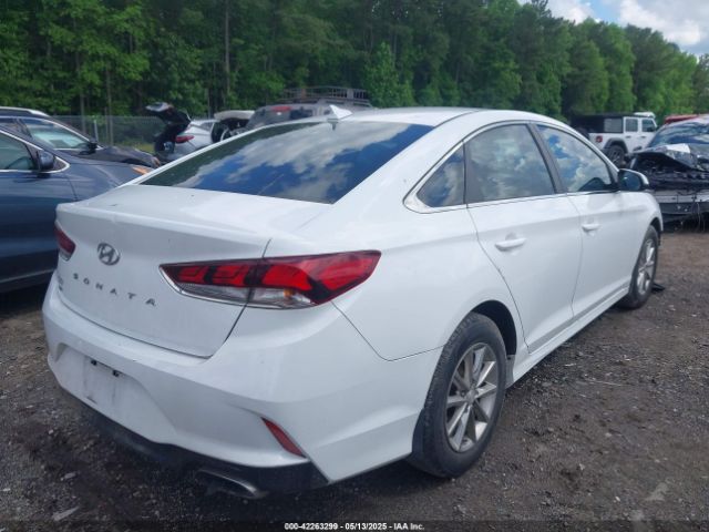 5NPE24AF3KH803241 Hyundai SONATA SE