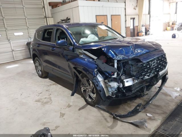 2023 HYUNDAI SANTA FE 5NMS1DAJ3PH592136