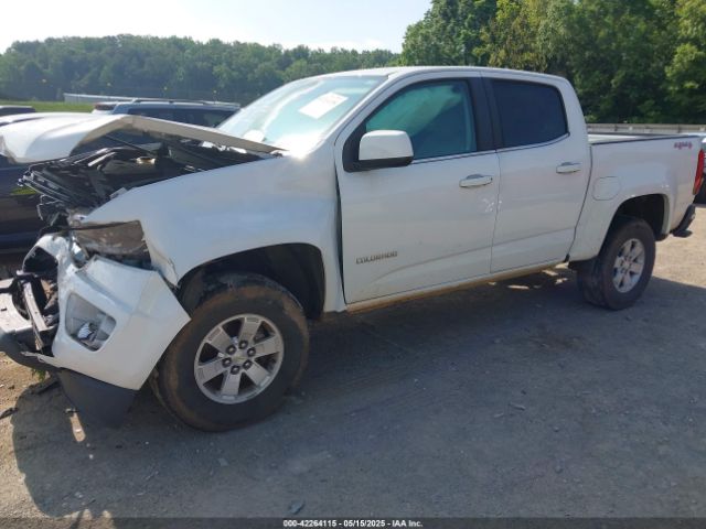 1GCGTBEN0L1221649 Chevrolet Colorado 4wd  Short Box Wt