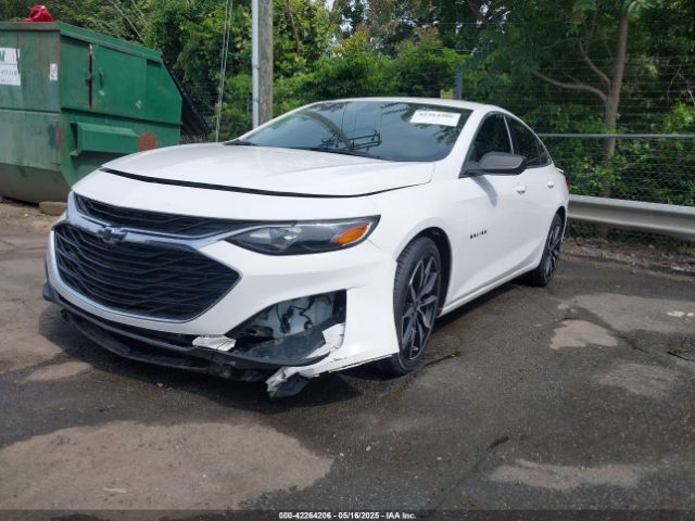 2020 CHEVROLET MALIBU 1G1ZG5ST3LF114981 Photo 1