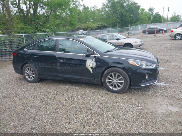 5NPE24AF1JH728179 Hyundai SONATA SE
