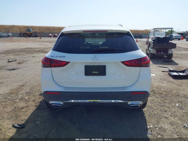 W1N4N4GB6NJ317650 Mercedes-Benz m260