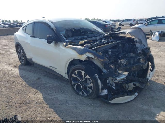 2024 FORD MUSTANG MACH-E 3FMTK1SU3RMA20553
