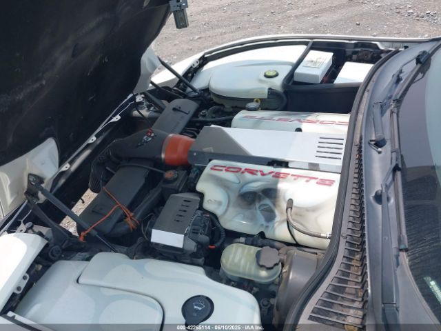 2002 CHEVROLET CORVETTE 1G1YY22G725130731 Photo 9