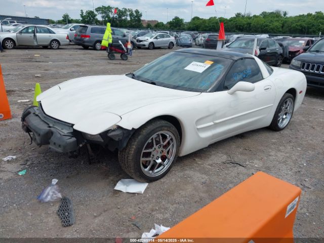 2002 CHEVROLET CORVETTE 1G1YY22G725130731 Photo 1