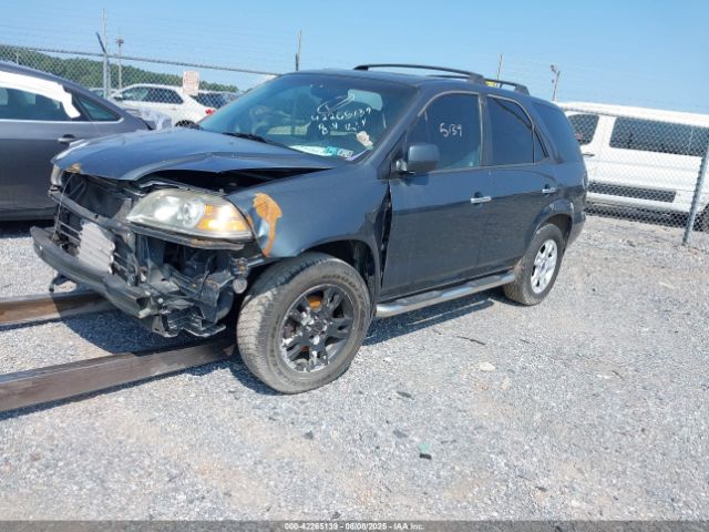 2006 ACURA MDX 2HNYD18876H534506 Photo 1