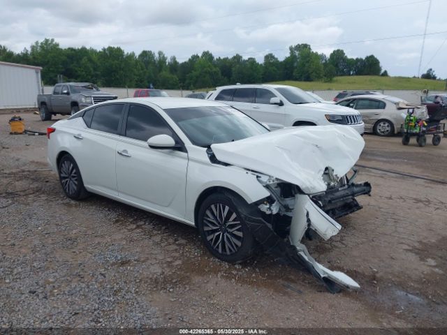 2023 NISSAN ALTIMA 1N4BL4DV8PN366255