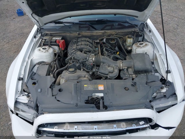 1ZVBP8AM2E5318701 Ford Mustang V6