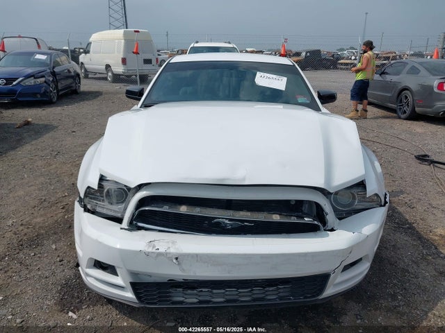 1ZVBP8AM2E5318701 Ford Mustang V6