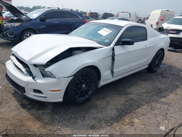 1ZVBP8AM2E5318701 Ford Mustang V6