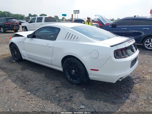 1ZVBP8AM2E5318701 Ford Mustang V6