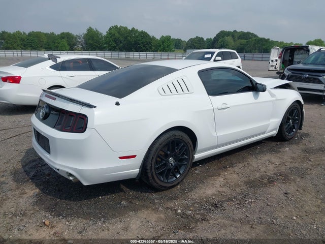 1ZVBP8AM2E5318701 Ford Mustang V6
