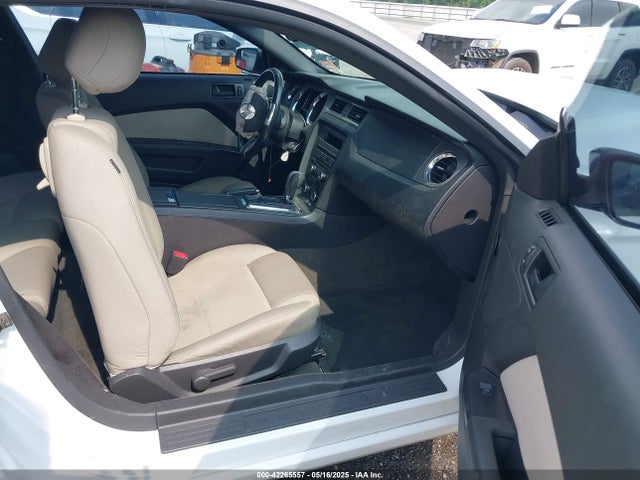 1ZVBP8AM2E5318701 Ford Mustang V6