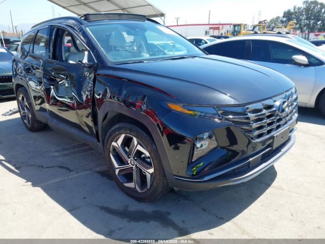2023 HYUNDAI TUCSON HYBRID KM8JECA14PU127220