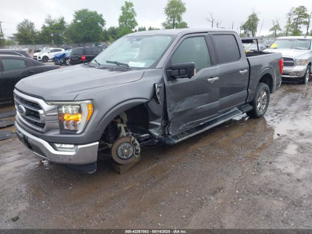 1FTFW1E82MFA77324 Ford F-150 Xlt
