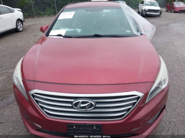5NPE24AF9GH277429 Hyundai SONATA SE