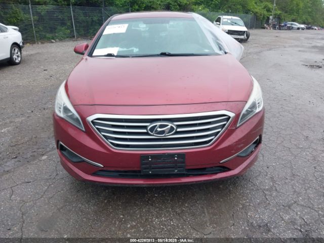 5NPE24AF9GH277429 Hyundai SONATA SE
