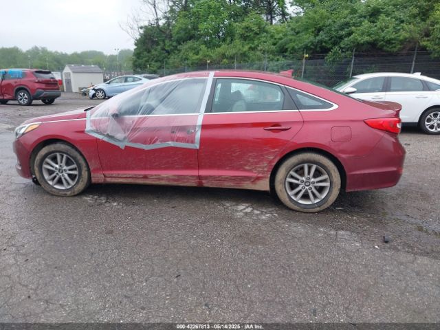 5NPE24AF9GH277429 Hyundai SONATA SE