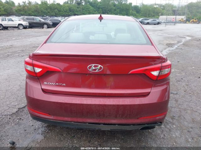 5NPE24AF9GH277429 Hyundai SONATA SE