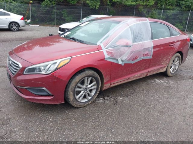 5NPE24AF9GH277429 Hyundai SONATA SE