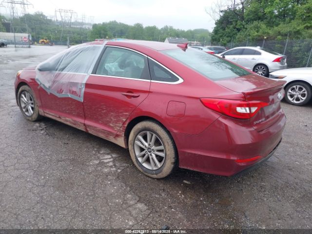 5NPE24AF9GH277429 Hyundai SONATA SE