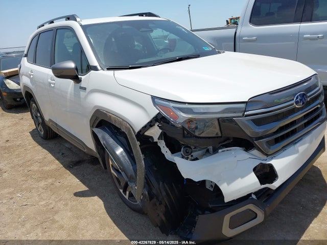Subaru na 2025 JF2SLSRD6SH405142 Image 6