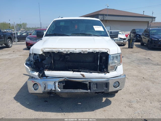 Ford F-150 Xlt 2014 1FTFX1ETXEFC02041 Image 12