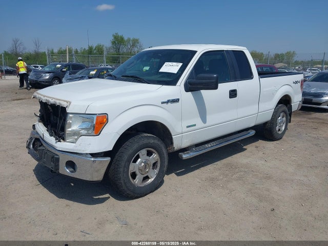 Ford F-150 Xlt 2014 1FTFX1ETXEFC02041 Image 2