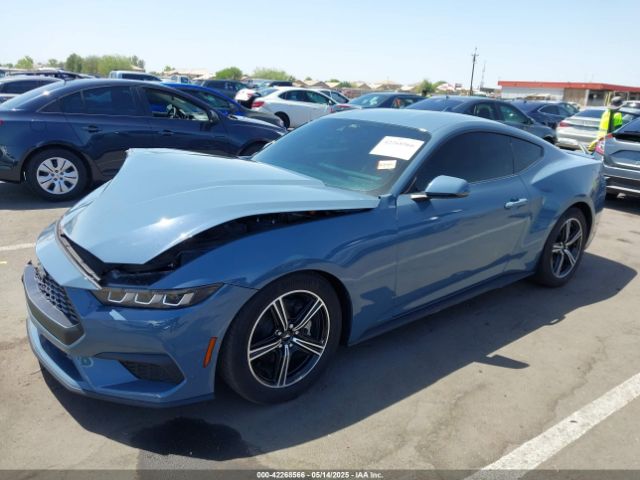 2024 FORD MUSTANG 1FA6P8THXR5140195 Photo 1