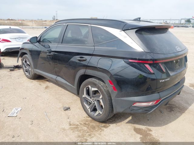 2023 HYUNDAI TUCSON HYBRID KM8JFCA12PU100014 Photo 2