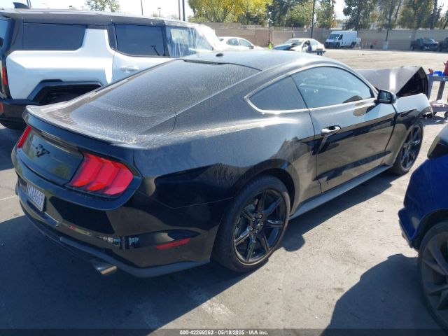 1FA6P8TH4K5169214 Ford Mustang Ecoboost