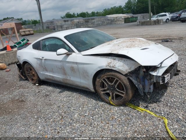 2019 FORD MUSTANG 1FA6P8TH8K5114605