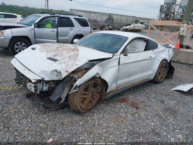 2019 FORD MUSTANG 1FA6P8TH8K5114605 Photo 1